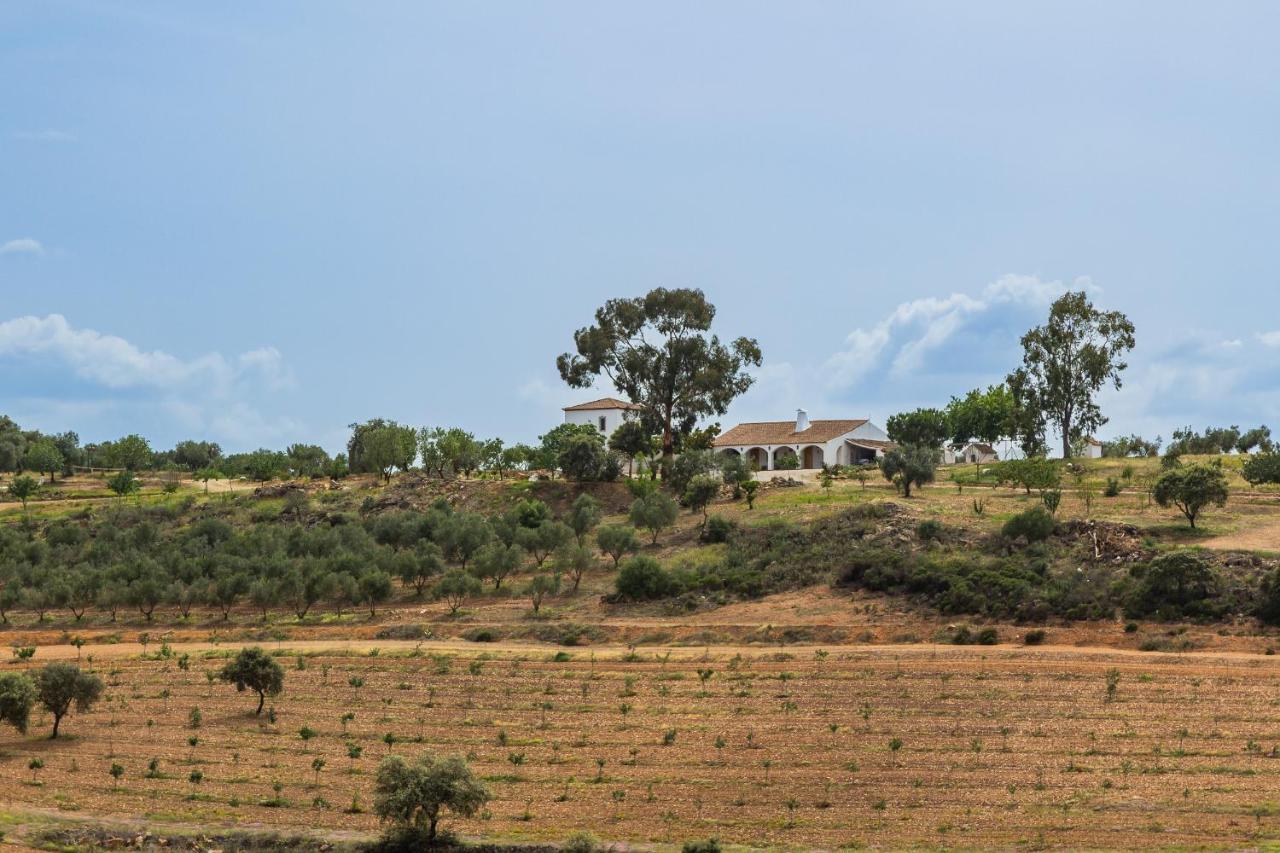 Casa Rural Finca Las Picazas Peñarroya-Pueblonuevo Exterior photo