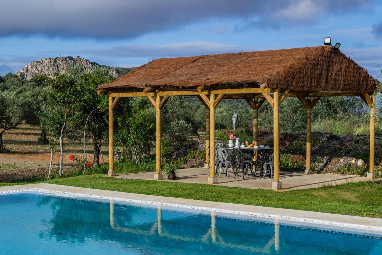 Casa Rural Finca Las Picazas Peñarroya-Pueblonuevo Exterior photo