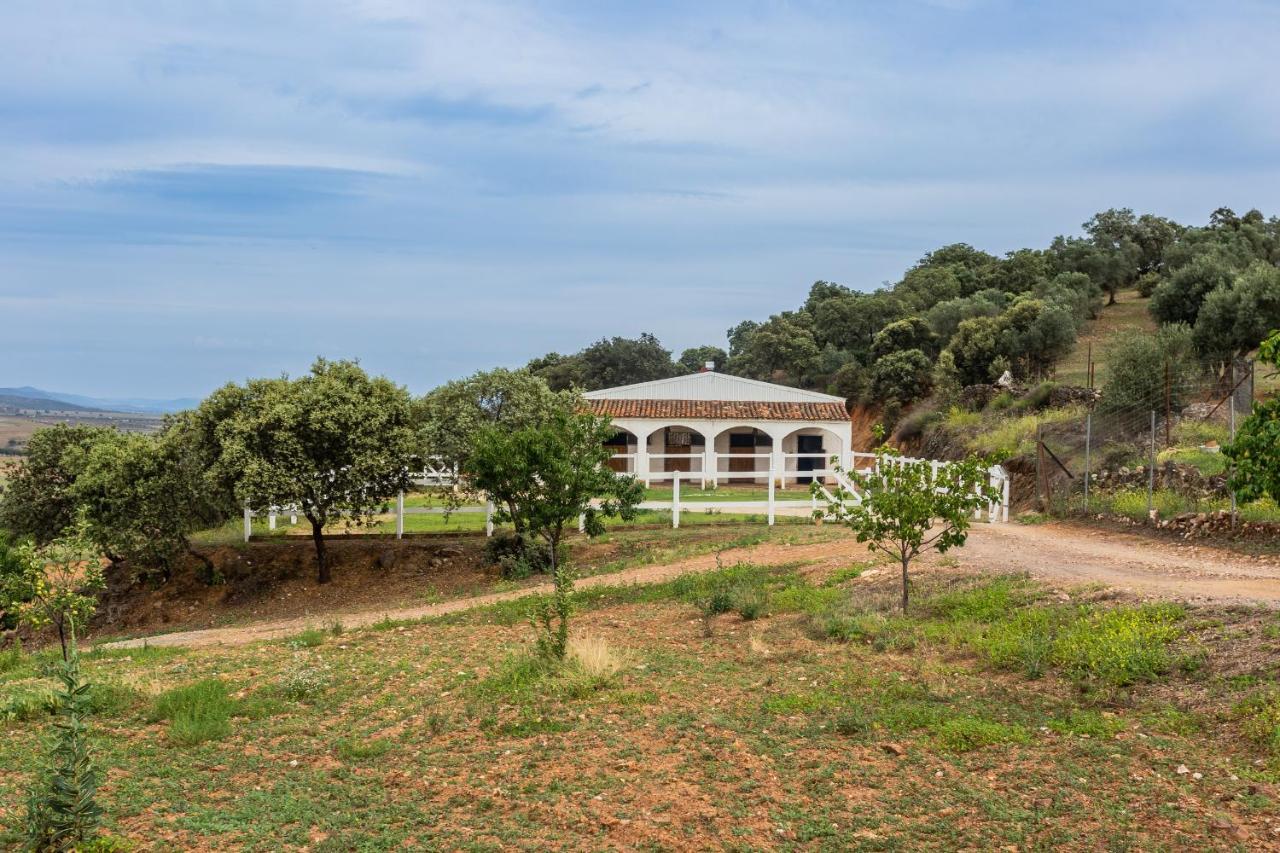 Casa Rural Finca Las Picazas Peñarroya-Pueblonuevo Exterior photo