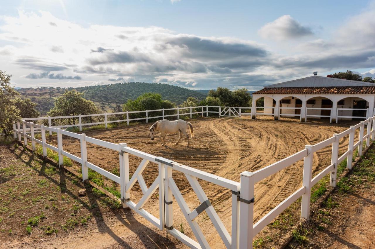 Casa Rural Finca Las Picazas Peñarroya-Pueblonuevo Exterior photo