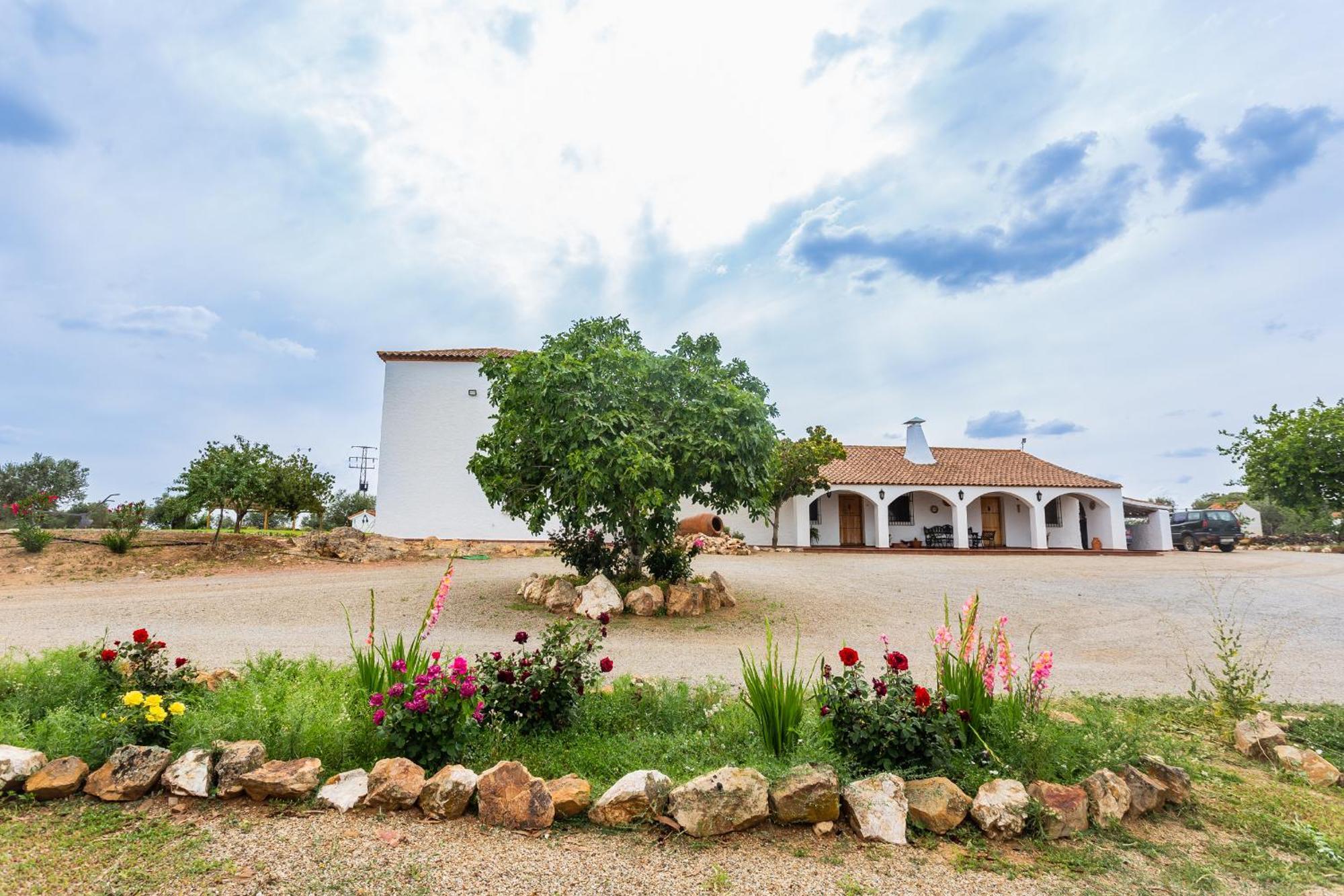 Casa Rural Finca Las Picazas Peñarroya-Pueblonuevo Exterior photo