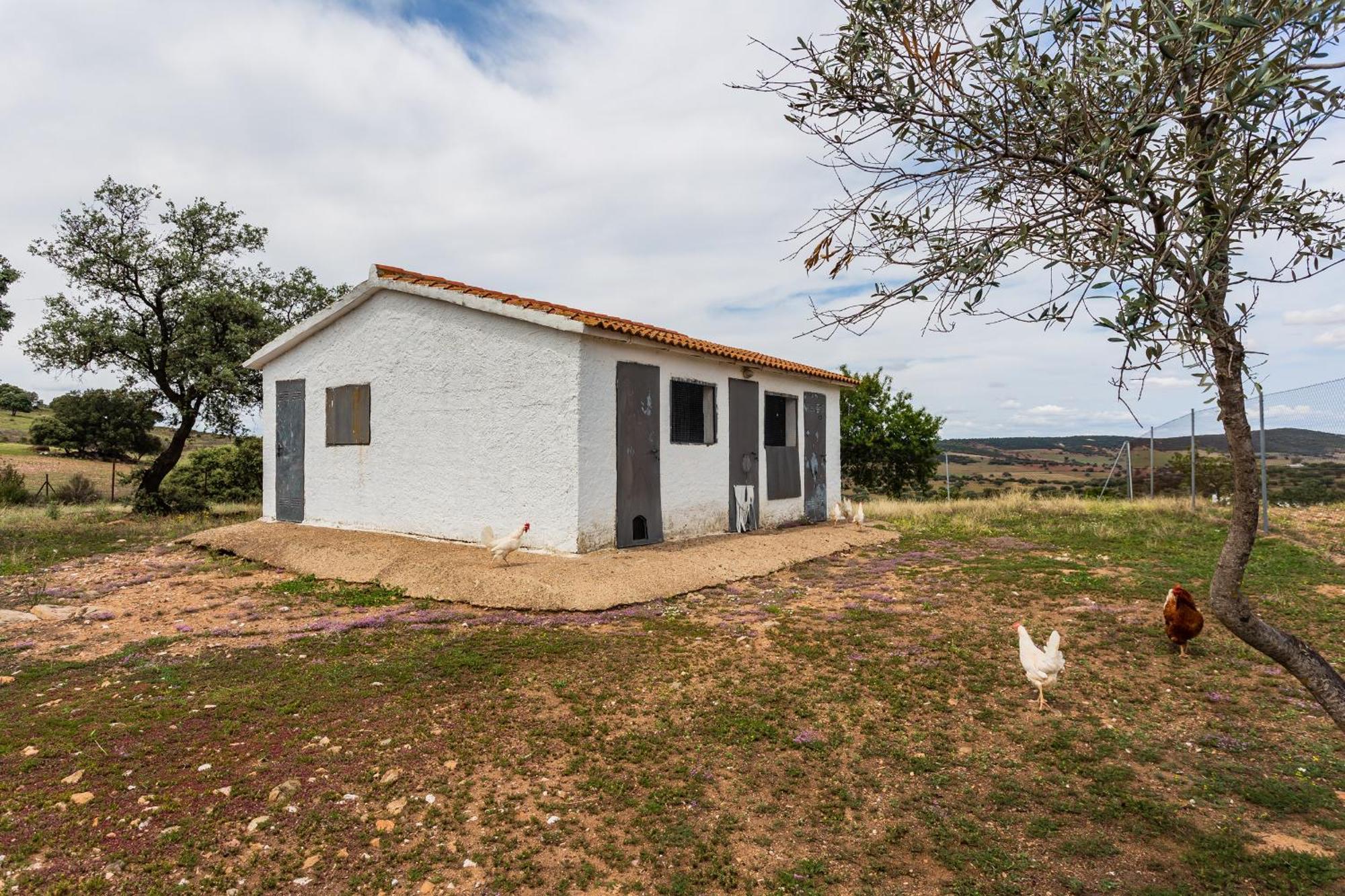 Casa Rural Finca Las Picazas Peñarroya-Pueblonuevo Exterior photo